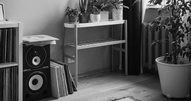 speaker in living room