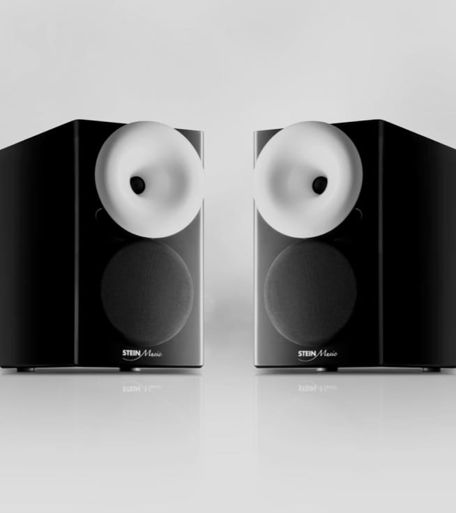 double zx9 speakers